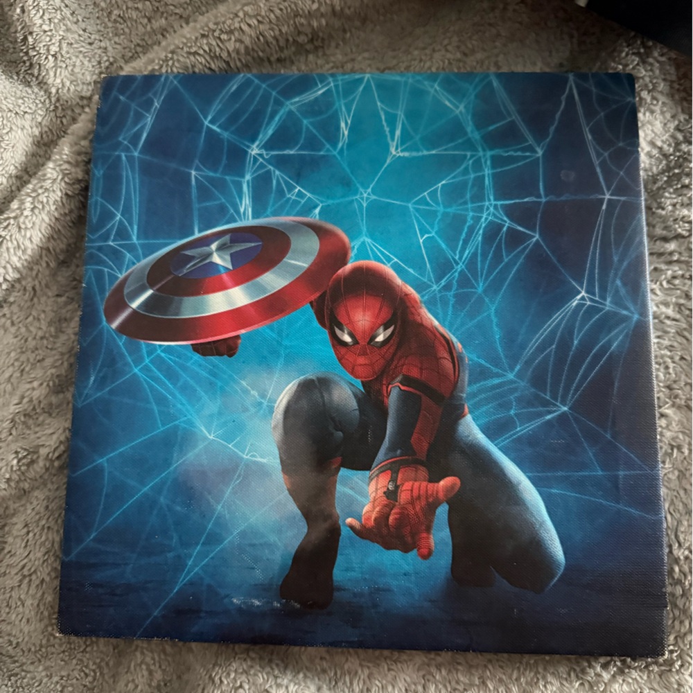 Spider-Man Canvas Art with Shield